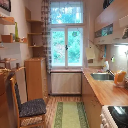 Apartment Ubytovani Ester - Utulny Byt V Lazenskem Centru Karlovych Varu Se Zahradkou