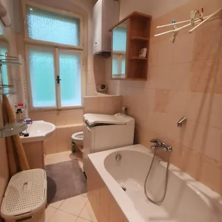 Apartment Ubytovani Ester - Utulny Byt V Lazenskem Centru Karlovych Varu Se Zahradkou Karlovy Vary