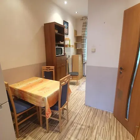 Apartment Ubytovani Ester - Utulny Byt V Lazenskem Centru Karlovych Varu Se Zahradkou