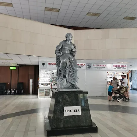 Ubytovani Ester - Utulny Byt V Lazenskem Centru Karlovych Varu Se Zahradkou