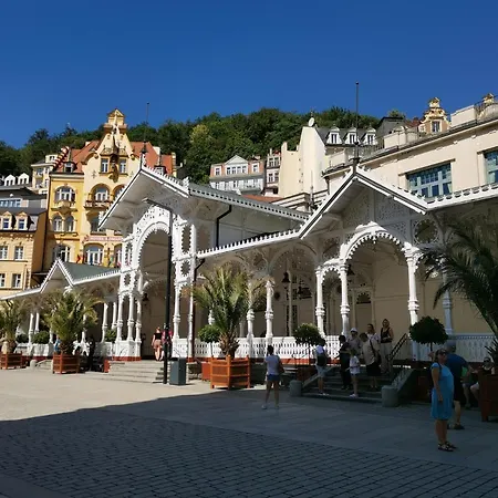 Lejlighed Ubytovani Ester - Utulny Byt V Lazenskem Centru Karlovych Varu Se Zahradkou Karlovy Vary