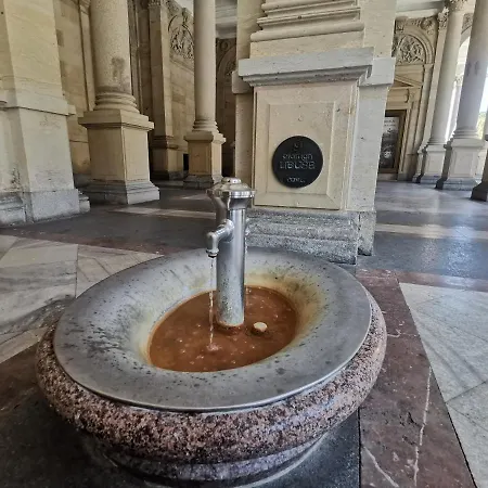 Lejlighed Ubytovani Ester - Utulny Byt V Lazenskem Centru Karlovych Varu Se Zahradkou *